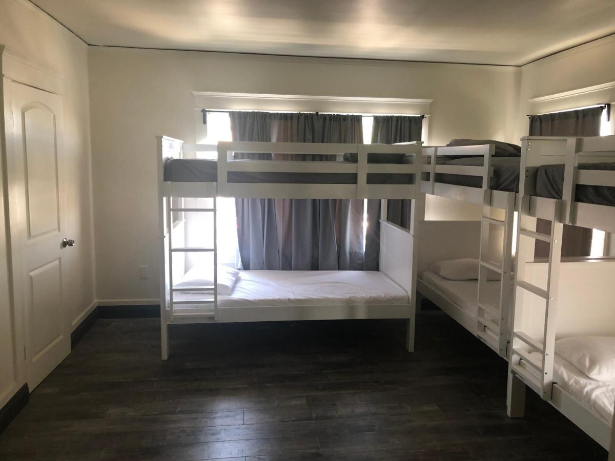 Bunk Bed in Mixed Dormitory Room
